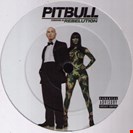 Pitbull Rebelution PIT003
