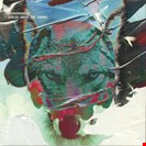 Stereophonics Scream Above The Sounds - Petrol Green Vinyl (2026) Parlaphone