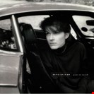 Sylvian, David Gone To Earth (Corona White Brown Opaque Black) Integral Distribution Services