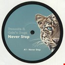 Truncate / Catz N Dogz Never Stop EP Pets Recordings