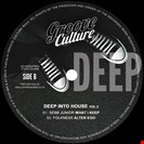 Milton Jackson / Olivotto, Luca / Sebb Junior / Folkness [V2] Deep Into House Vol.2 Groove Culture Deep
