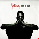 Haddaway 1