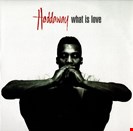 Haddaway What Is Love Dance On The Beat Records