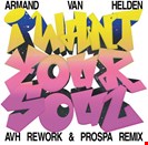 Van Helden, Armand I Want Your Soul (AVH Rework + Prospa Remix) Southern Fried