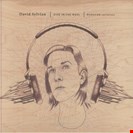 Sylvian, David Died In The Wool: Manafon Variations (reissue) UMR