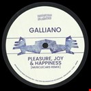 Galliano Pleasure, Joy & Happiness/ Circles Going Round The Sun Brownswood