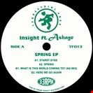 Insight Featuring Ashaye Spring EP Terrestrial Funk