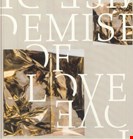 Demise Of Love Demise Of Love EP Domino