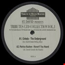 St David [V1] Tributes LTD Collection Vol 1 Tribute To House Masters