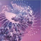 Yet More Just Wanna EP Habitat Recordings