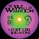Wallop Wizards 1