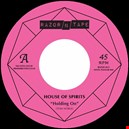 Noble, Tom / House Of Spirits 1
