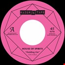 Noble, Tom / House Of Spirits Holding On Razor N Tape