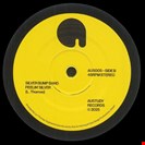 Silver Bump Band Feelin' Funky / Feelin' Silver Austudy