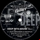 Montanari, Ricky / Olivotto, Luca / Memi P [V3] Deep Into House Vol.3 Groove Culture
