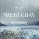 Gray, David Life In Slow Motion - Glacial Blue IHT Records