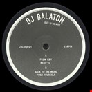Balaton, DJ Back to the Mood Liquid Luve Discs 