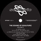 Allen, Donna / Urban Blues Project / Gabriel Rene [V2] The Sound of Soulfuric Volume 2 Soulfuric