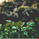 Raffaele Ciavolino 1