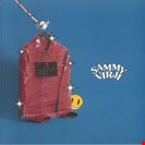 Virji, Sammy Same Day Cleaning Capitol