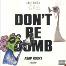 A$AP Rocky Don't Be Dumb Black & White Vinyl RCA