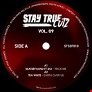 Various Artists [V9] Stay True Cutz Vol.9 Stay True Cutz