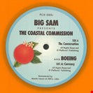 Coastal Commisiion / Boing The Conversation / Currency Pacific Coast House