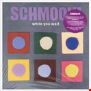 Schmoov While You Wait - Purple Vinyl Winding Road Records