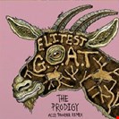 Sleaford Mods / Aldous Harding Elitist G.O.A.T. - Gold Vinyl Rough Trade