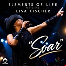 Elements Of Life / Lisa Fischer Soar Vega Records