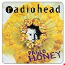 Radiohead Pablo Honey XL